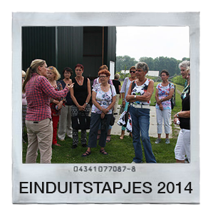 Einduitstapjes 2014