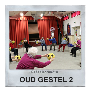 Oud Gestel 2